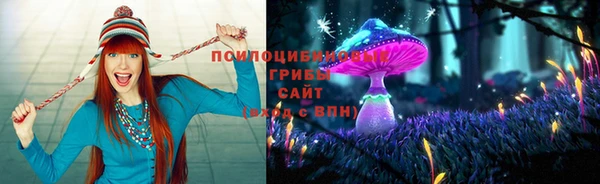 мяу мяу мука Сатка