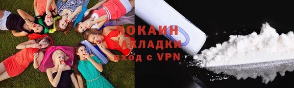 мдпв Невельск