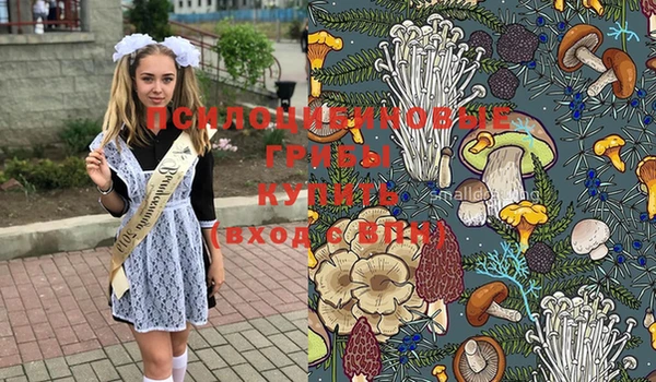 мяу мяу мука Сатка