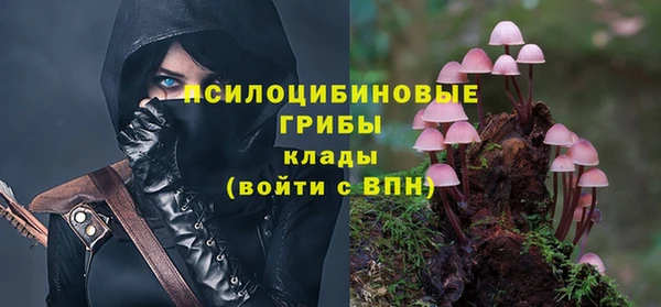 скорость Саяногорск
