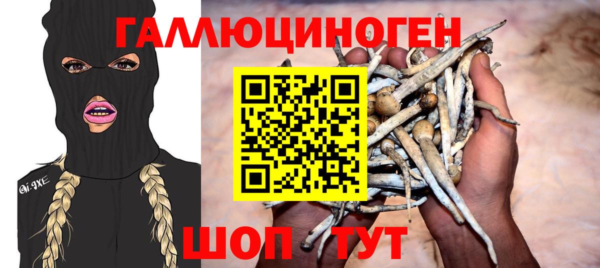 Саяногорск  Галлюциногенные грибы GOLDEN TEACHER  Вход с VPN 