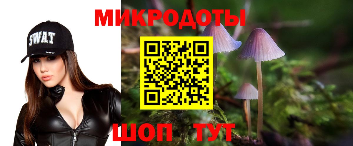 Псилоцибиновые грибы Psilocybine cubensis Саяногорск